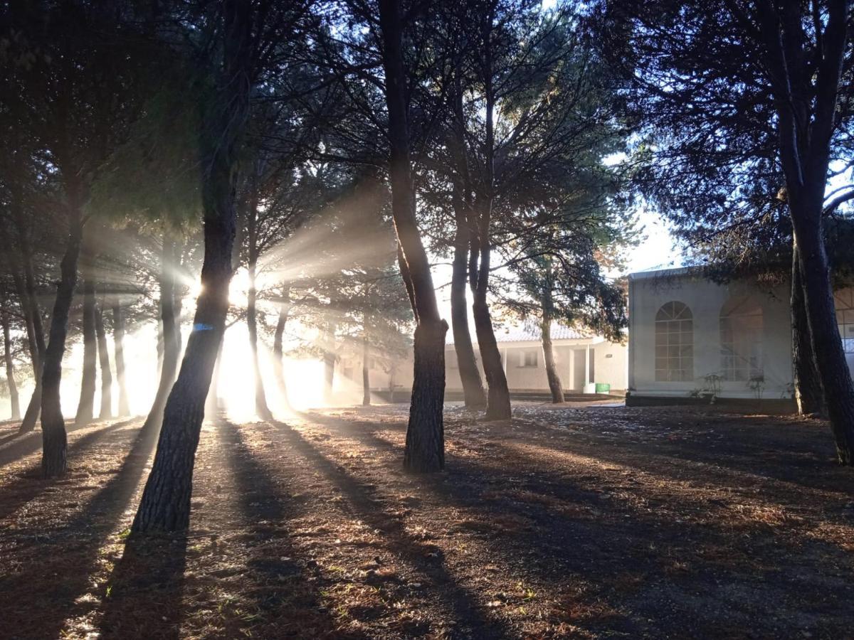 Bungalows Zaragoza Camping エクステリア 写真
